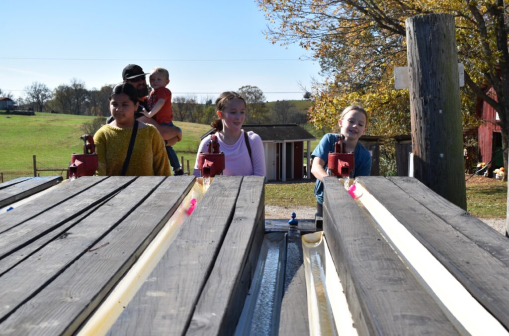 duck races