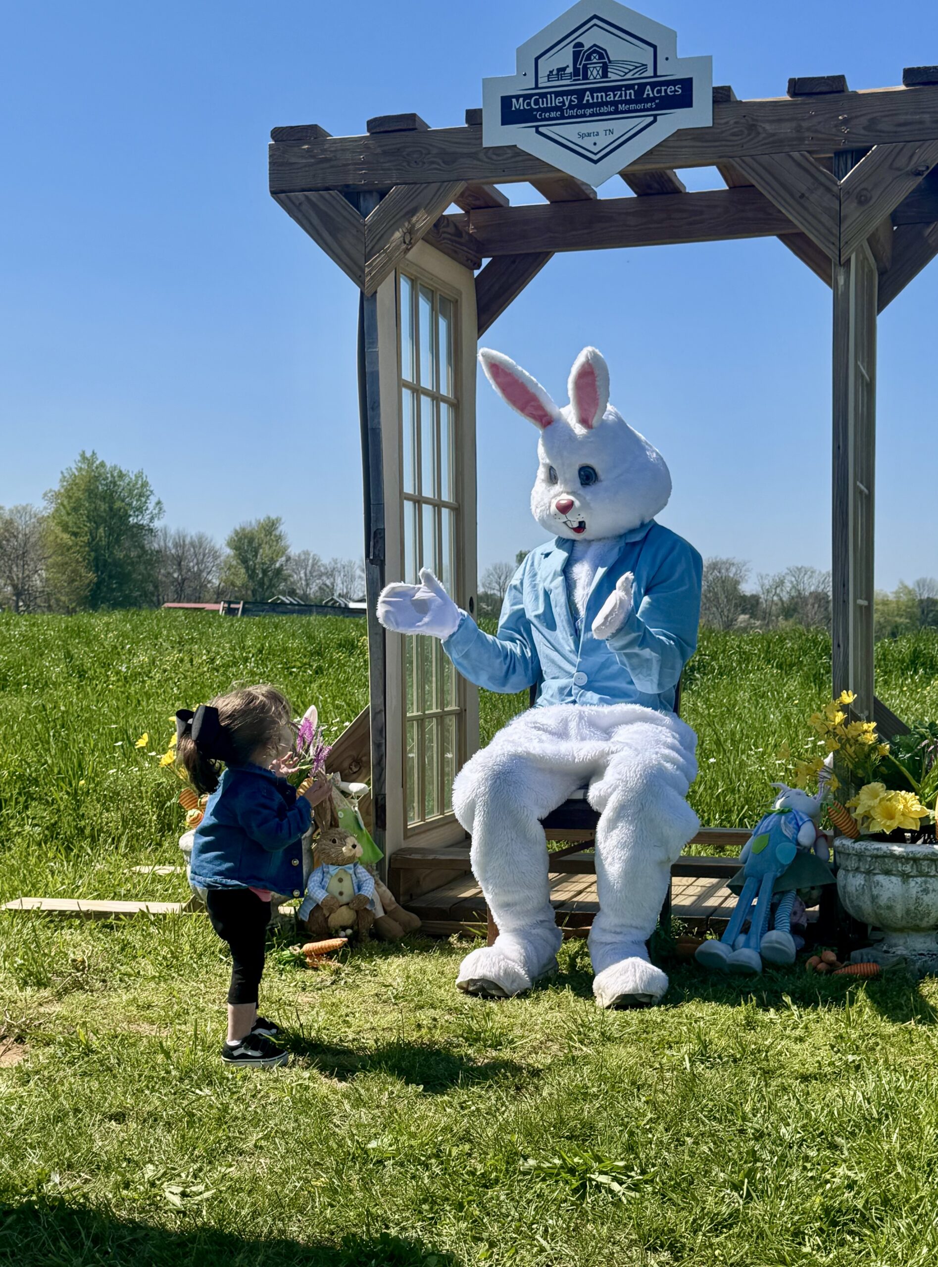 easter-bunny-near-nashville