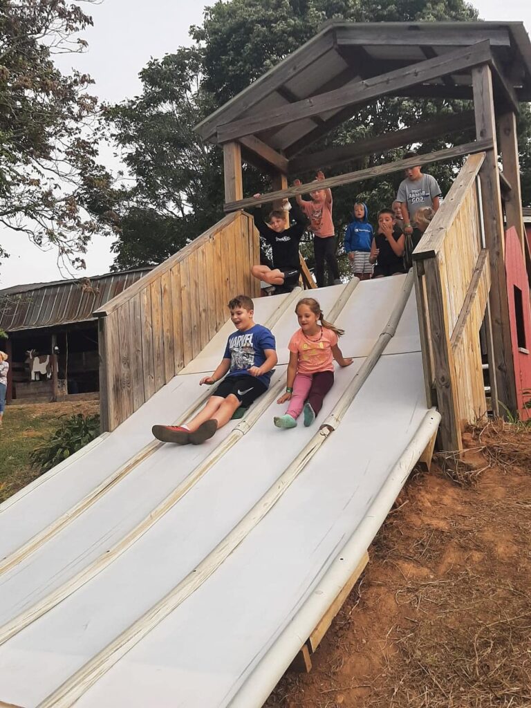 children slide down an in-ground hill slide having fun