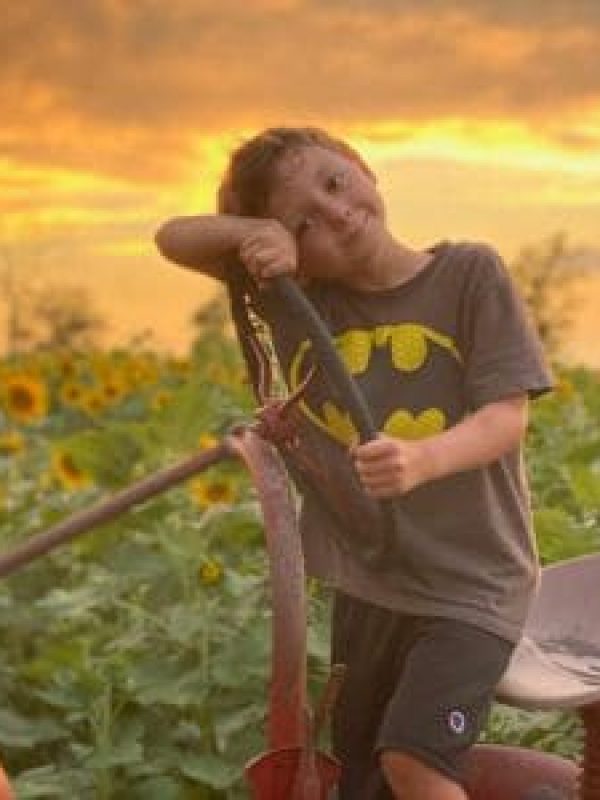 sunflower-picking-tennessee