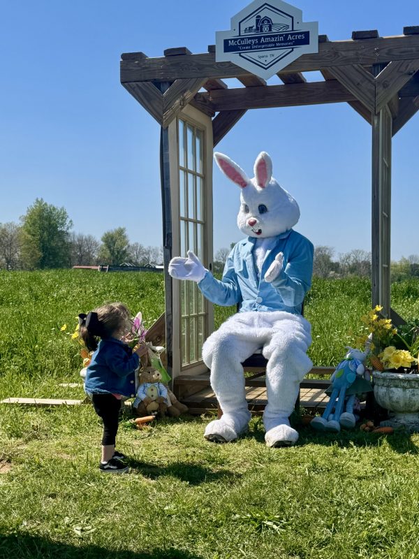 easter-bunny-near-nashville