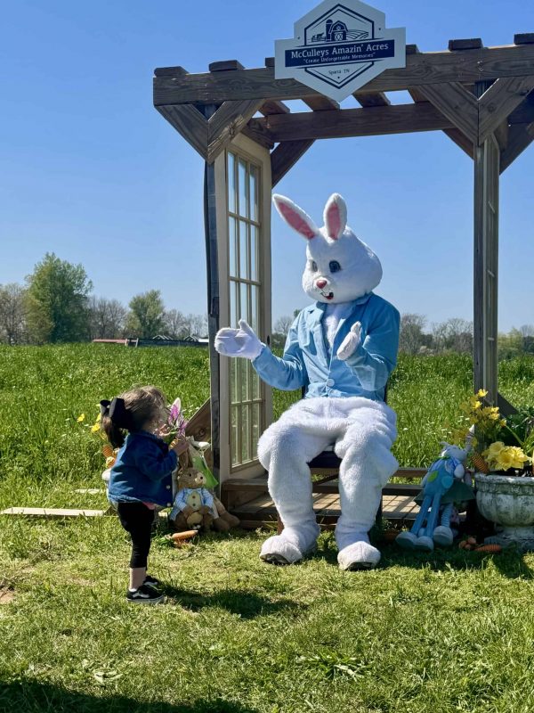 easter-bunny-near-nashville