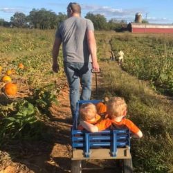 pumpkin-patch-near-nashville