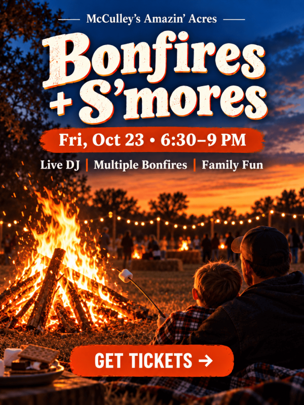 Bonfires + S’mores at Twilight