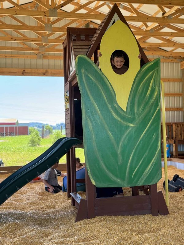 Corn inside Corn Barn Picture Op