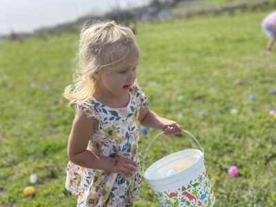 easter egg hunt on a green field