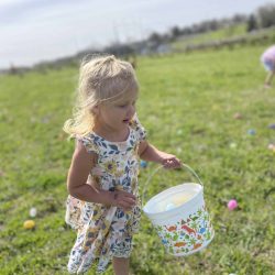 easter egg hunt on a green field