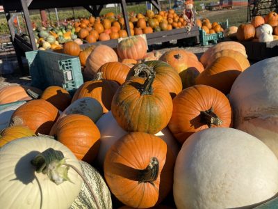 PUMPKINS 9