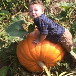 Pumpkin Patch 5