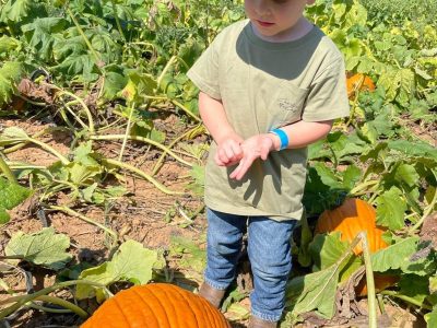 Pumpkin Patch 7