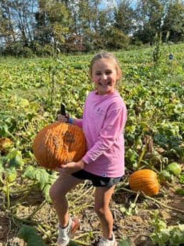 pumpkin-patch-near-nashville
