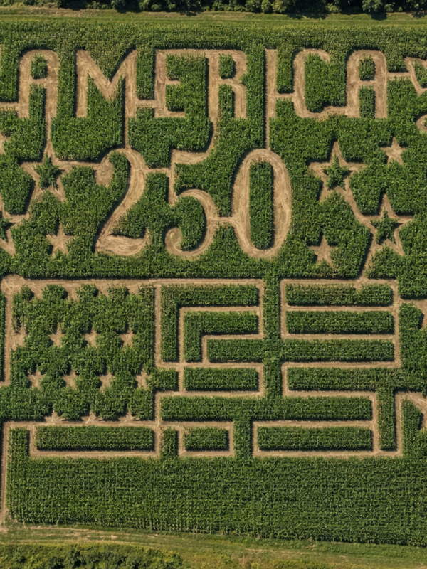 The word "America" centered in a corn field with the cracked Liberty Bell on the left, and American Flag in the middle, and the Statue of Liberty to the right.