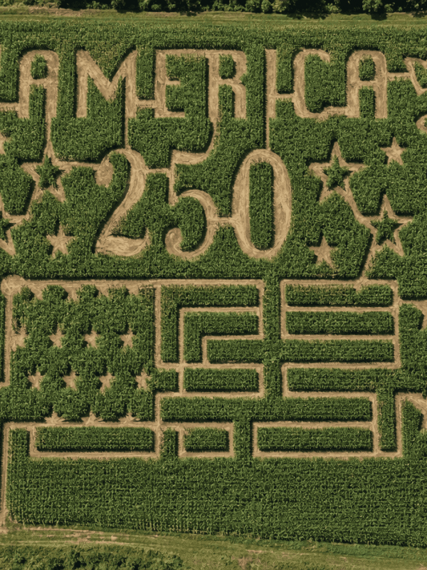 The word "America" centered in a corn field with the cracked Liberty Bell on the left, and American Flag in the middle, and the Statue of Liberty to the right.