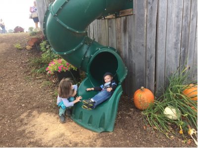 farm-adventure-fort-slide