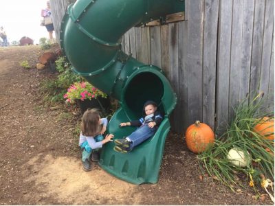 farm-adventure-fort-slide