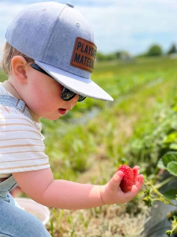 strawberry picking